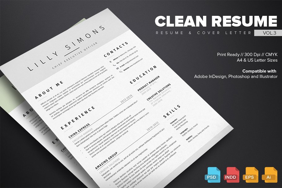 简约个人简历模板v3 Clean Resume Templa
