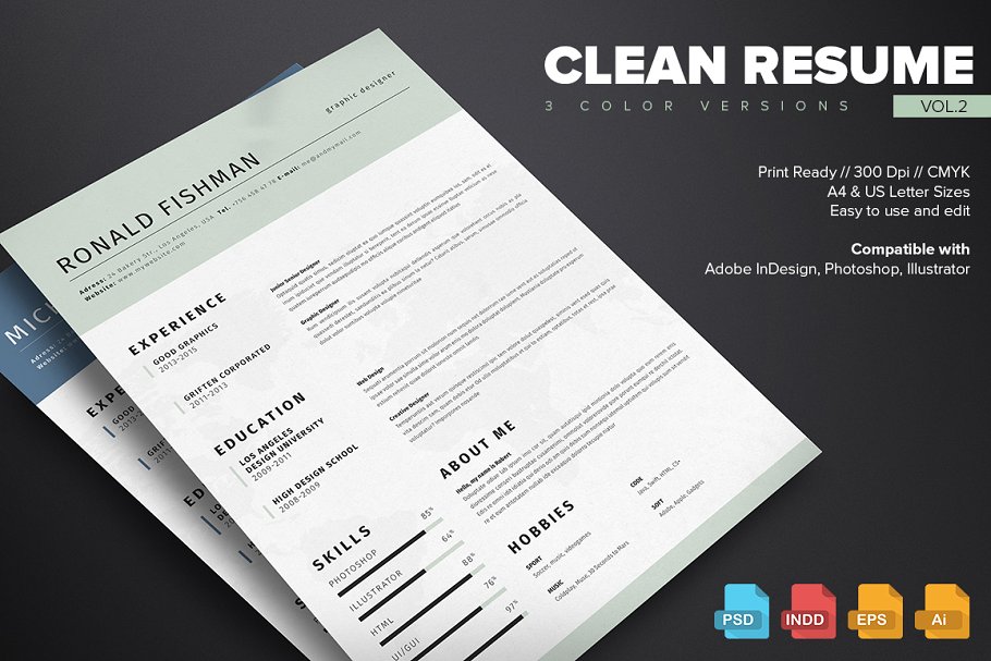 干净简历模板第2卷 Clean Resume Templat