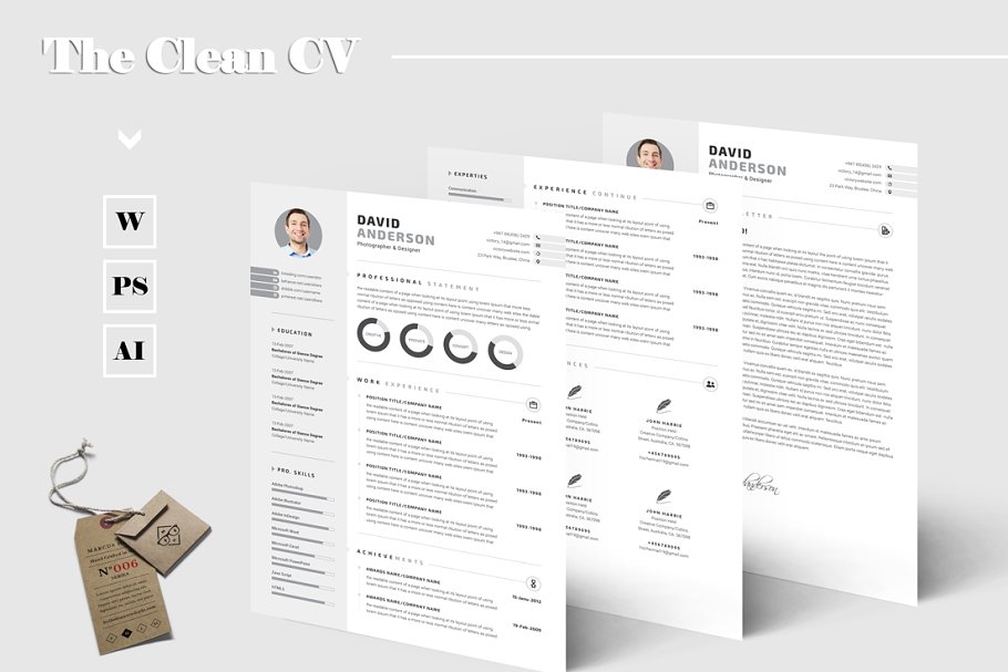 简洁的简历模板 The Clean CV #89798