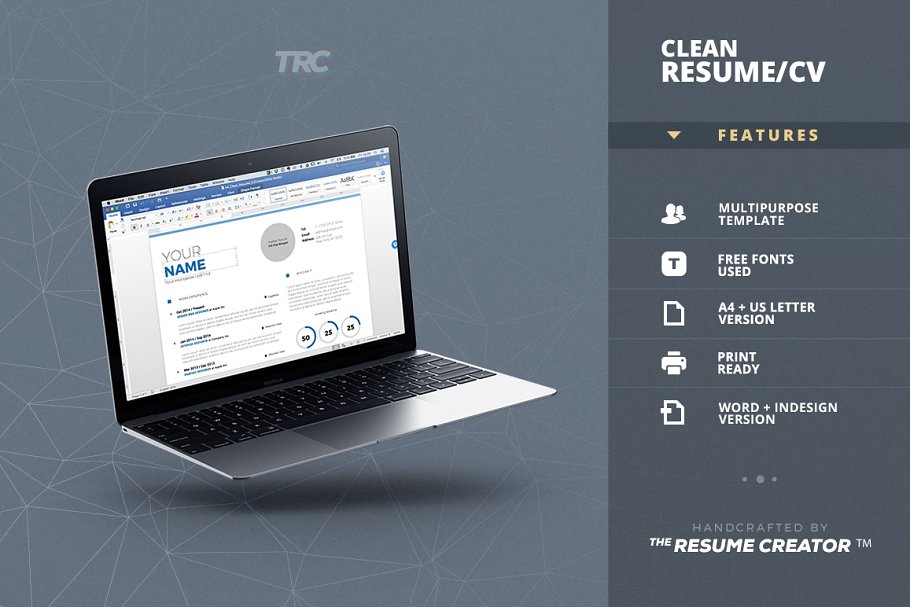 干净的简历模板 Clean ResumeCv Templat