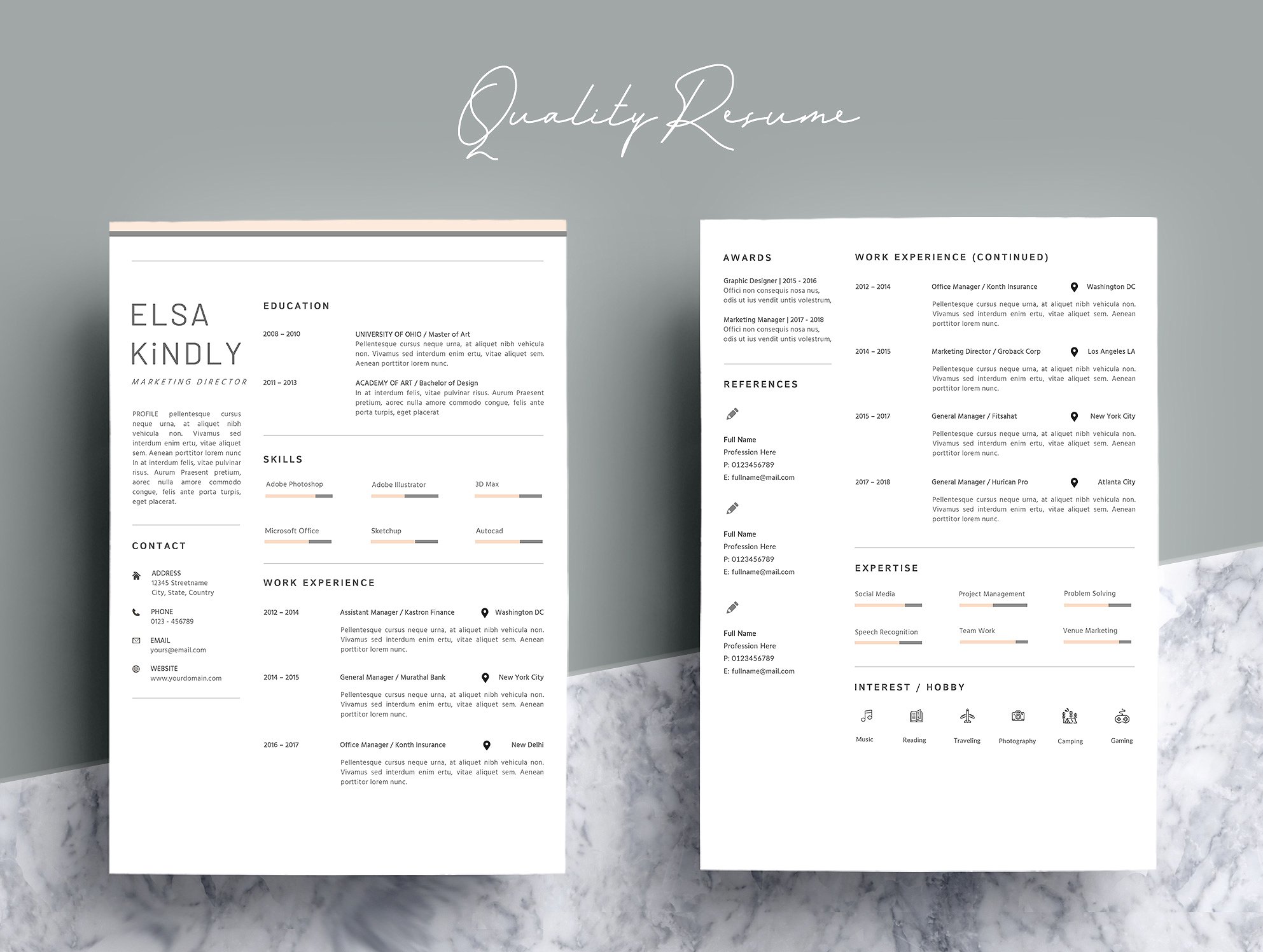 时尚简历模板 Resume Template – Brigh