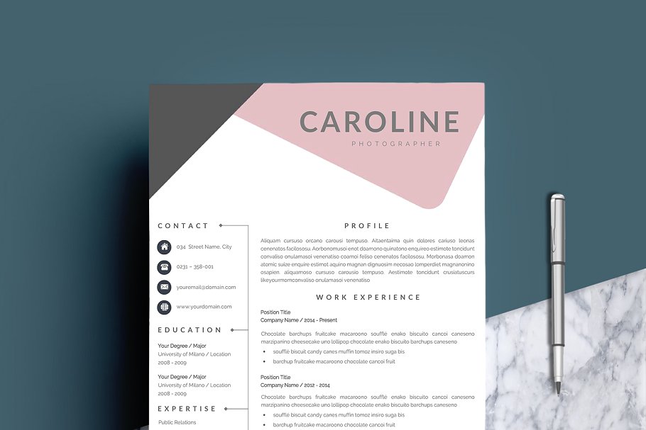 个人简历模板 Résumé Templates  CV Te