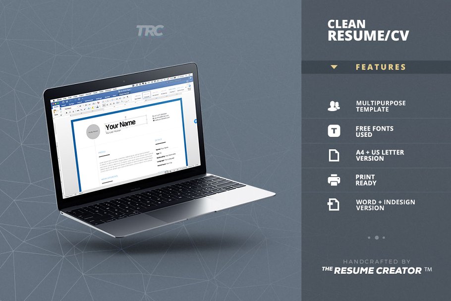 干净简历模板 Clean Resume Cv Templat