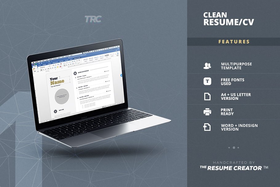 干净简历模板 Clean Resume Cv Templat