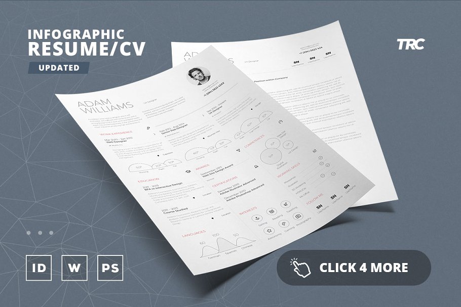 信息图表的简历模板 Infographic Resume C