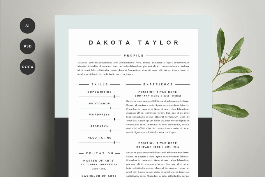 简洁的简历模板 Resume Template 4 Pack