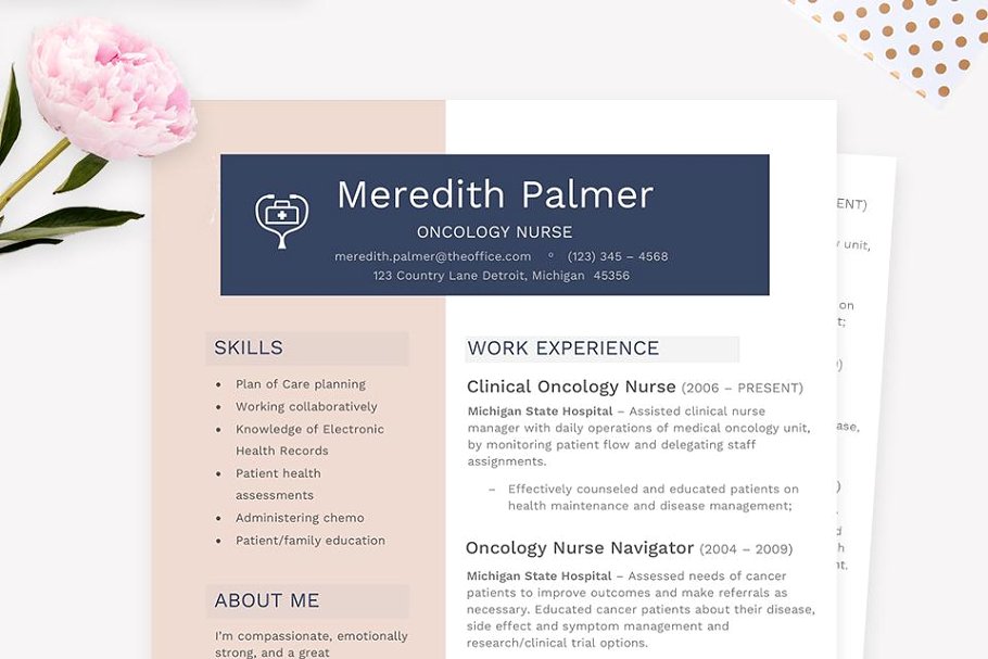 护士简历模板 Nurse Resume CV Templat