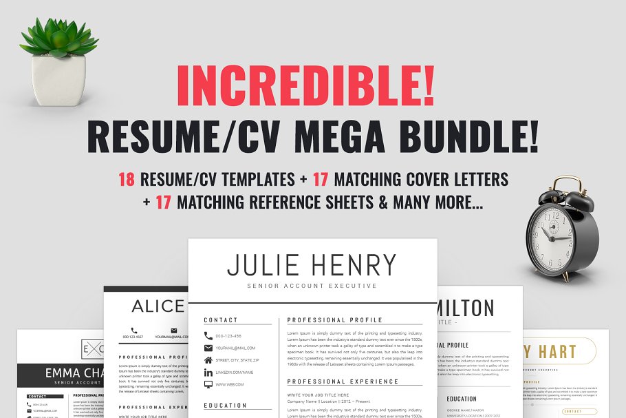专业多样的简历模板 ResumeCV Mega Bundle