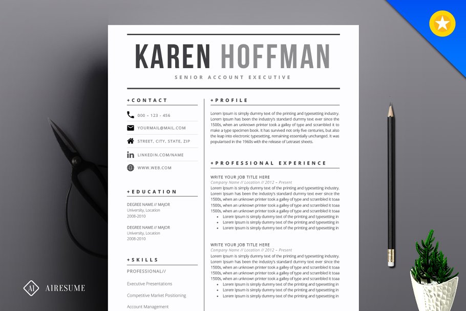 现代简历模板 Modern Resume Template