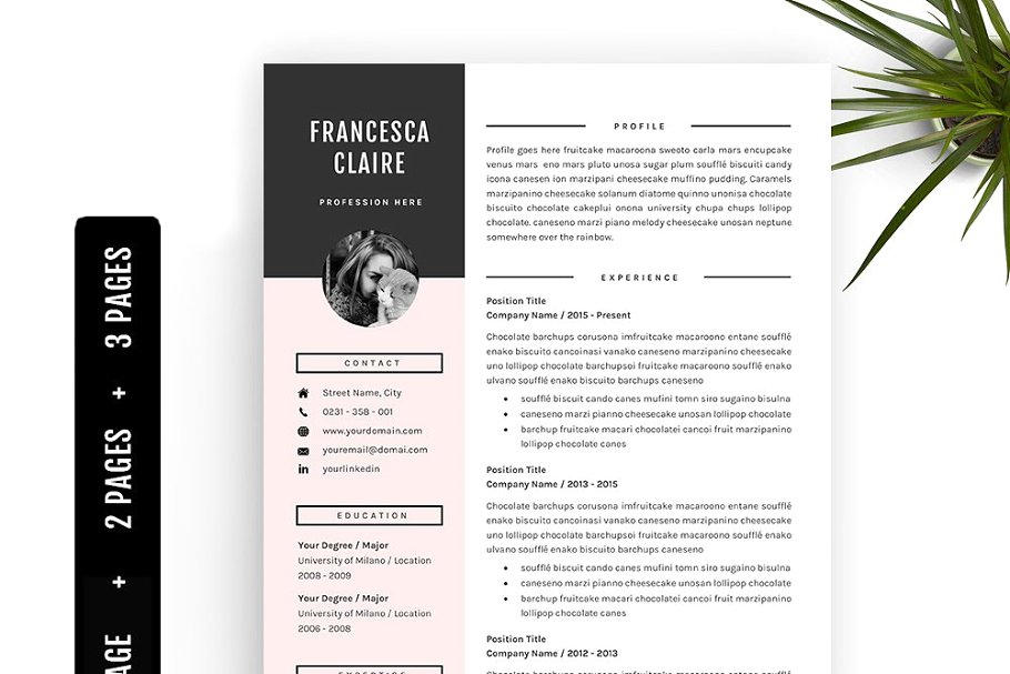 简历模板3页 3 Pages Resume Template