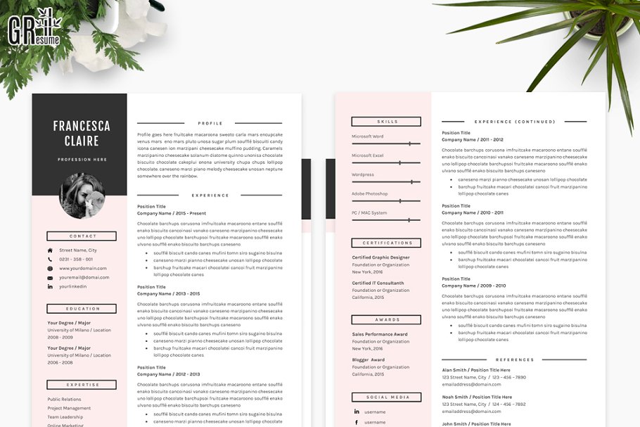 简历模板3页 3 Pages Resume Template