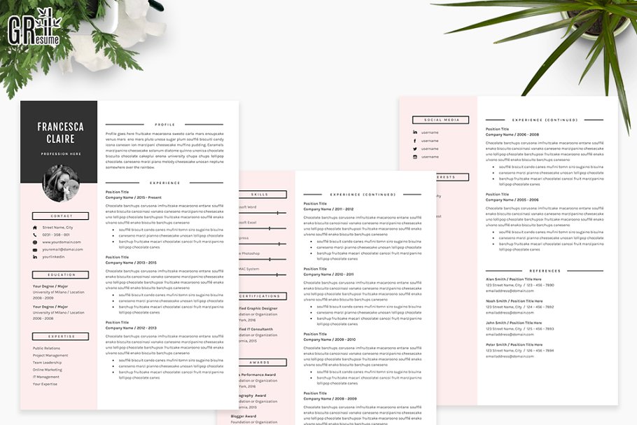 简历模板3页 3 Pages Resume Template