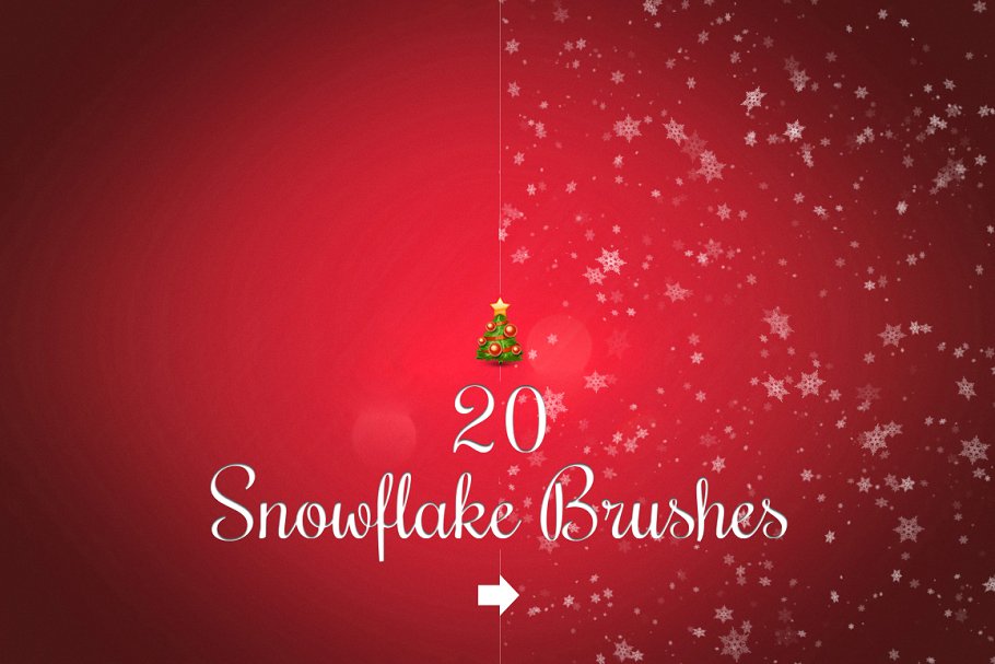 20个雪花效果的笔刷 20 Snowflake brushe