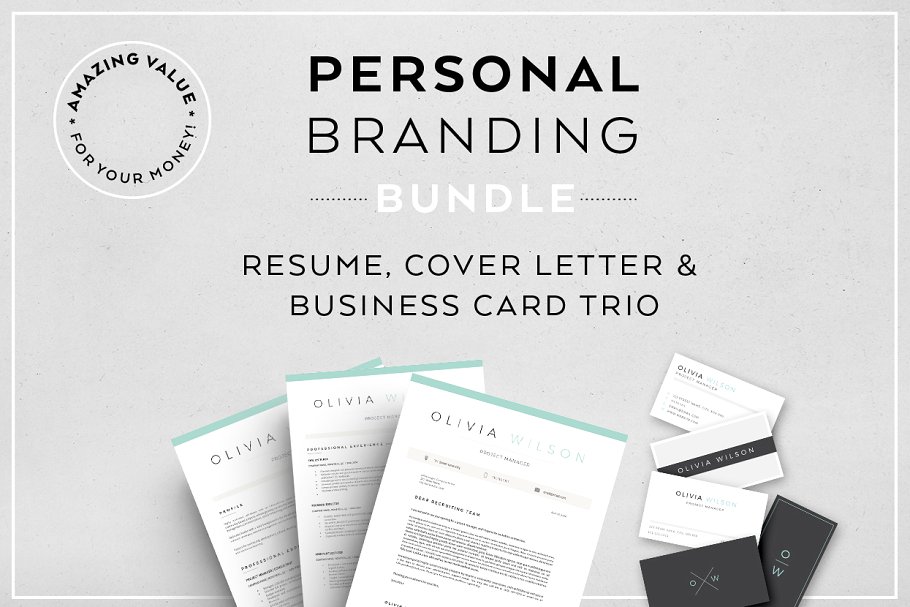 个人简历模板 Resume Bundle Personal