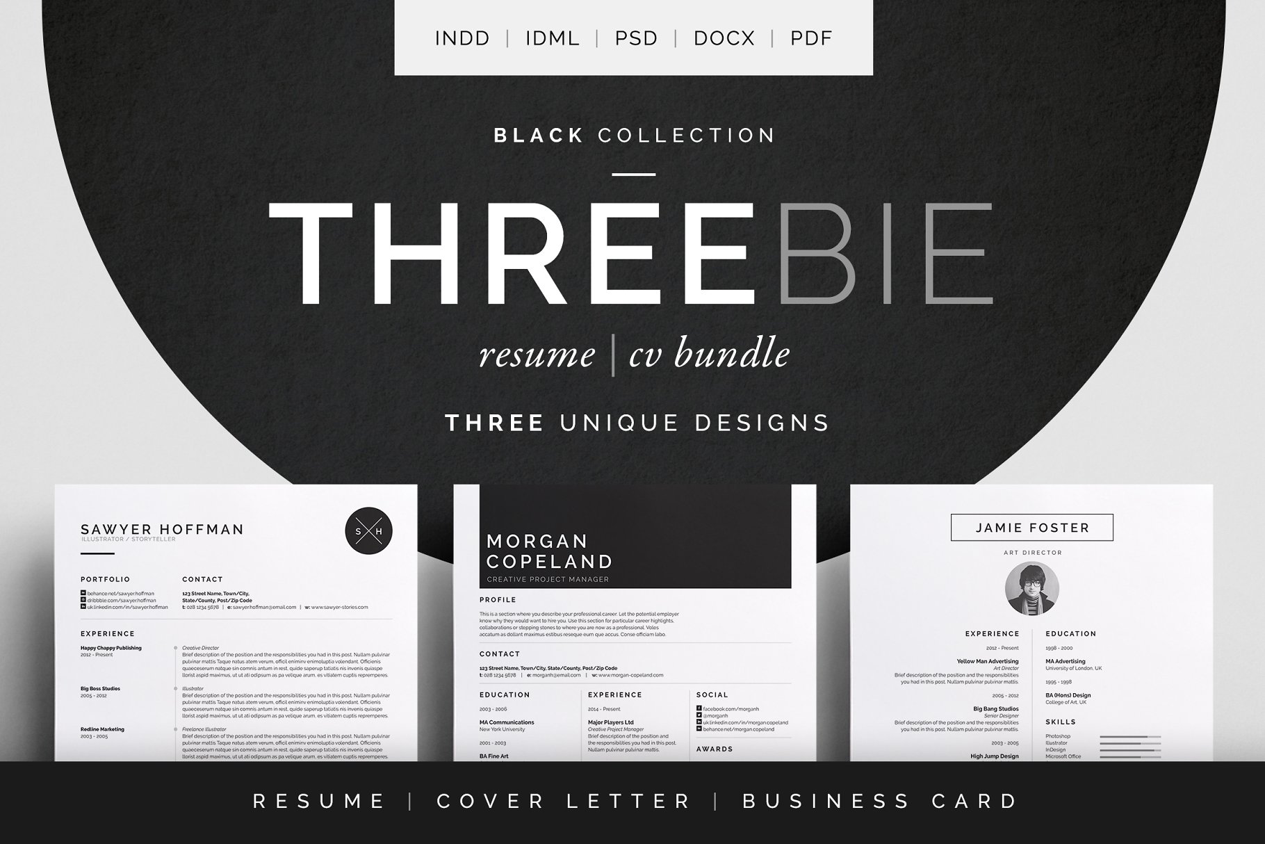 简约高端简历模板包 Threebie Resume CV B