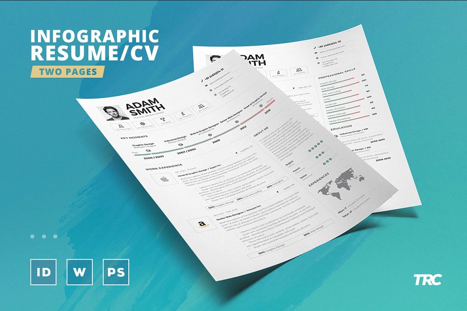 信息图表简历模版 Infographic ResumeCv