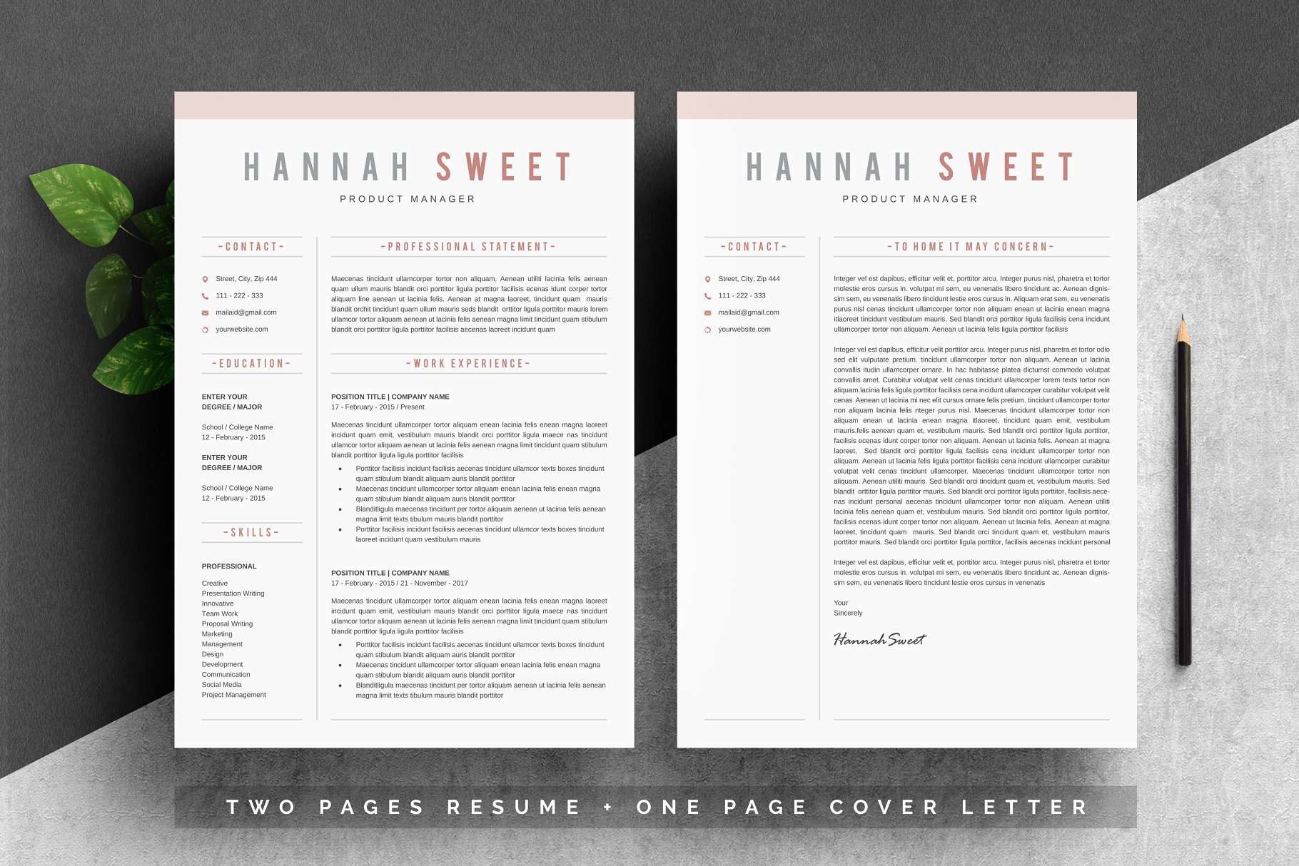 1专业简历模板 Word Resume Template #