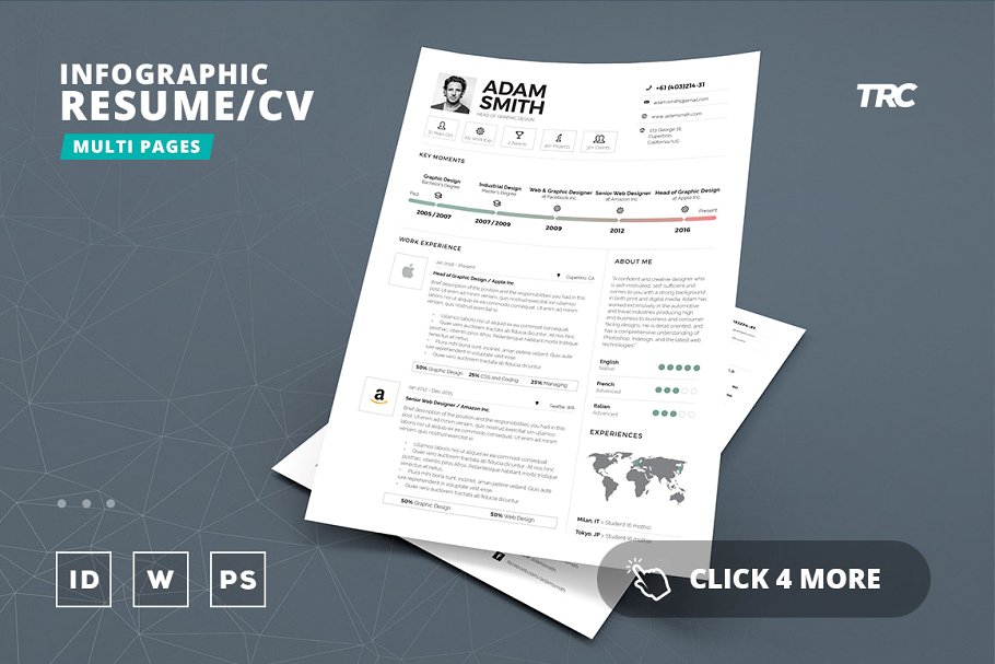 信息图表简历模版 Infographic ResumeCv