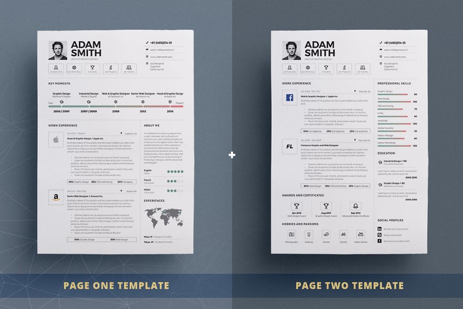 信息图表简历模版 Infographic ResumeCv