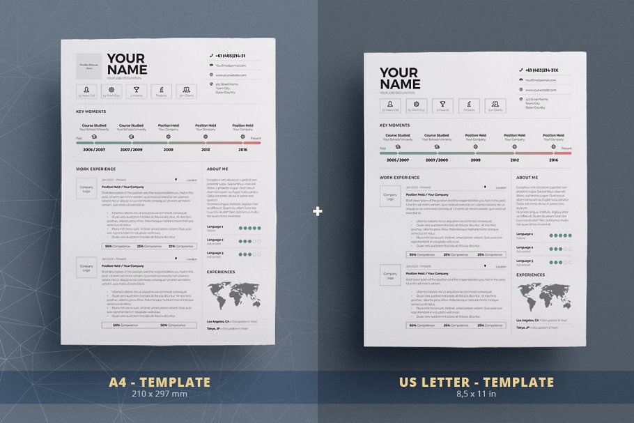 信息图表简历模版 Infographic ResumeCv