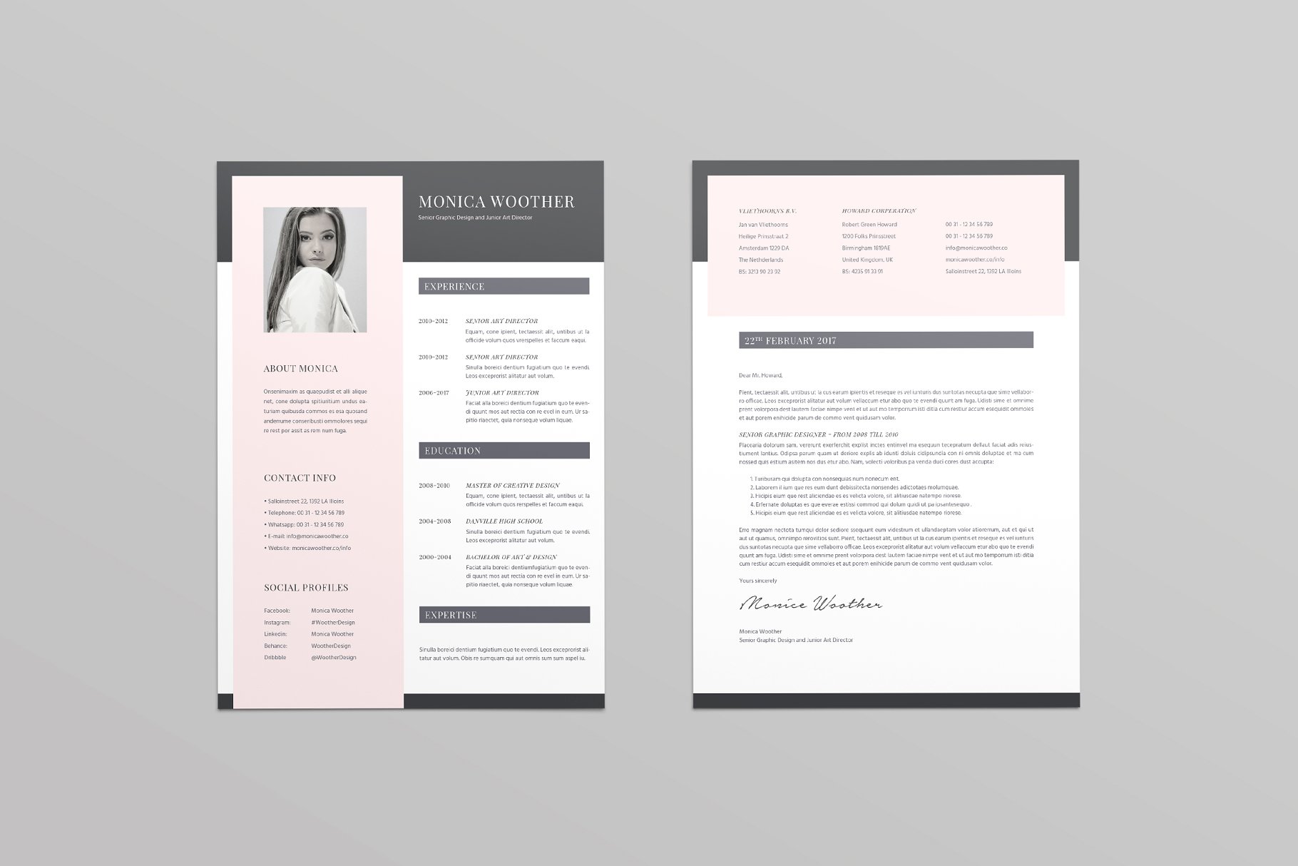 高雅简历模板 Woother Resume Template