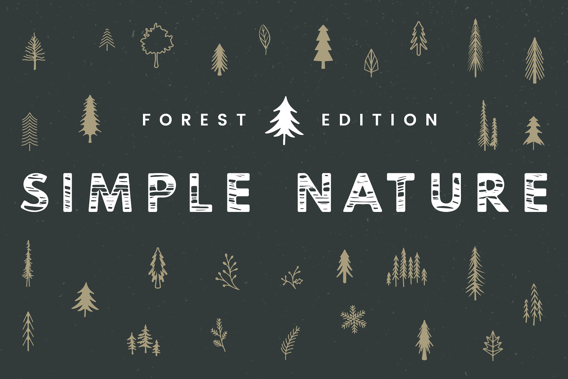 圣诞树矢量插画 Simple Nature Forest E