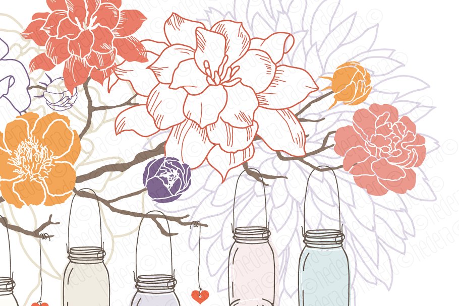 栀子花牡丹花插画 Hanging jars gardenia