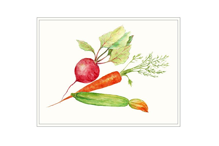 水彩蔬菜素材插画 Watercolor Vegetable