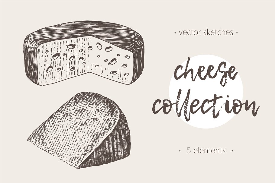 奶酪素描插画 Collection of cheese il