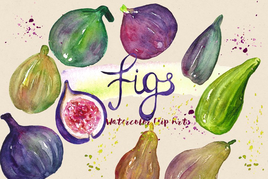 水彩水果插画 Figs fruits. Watercolor