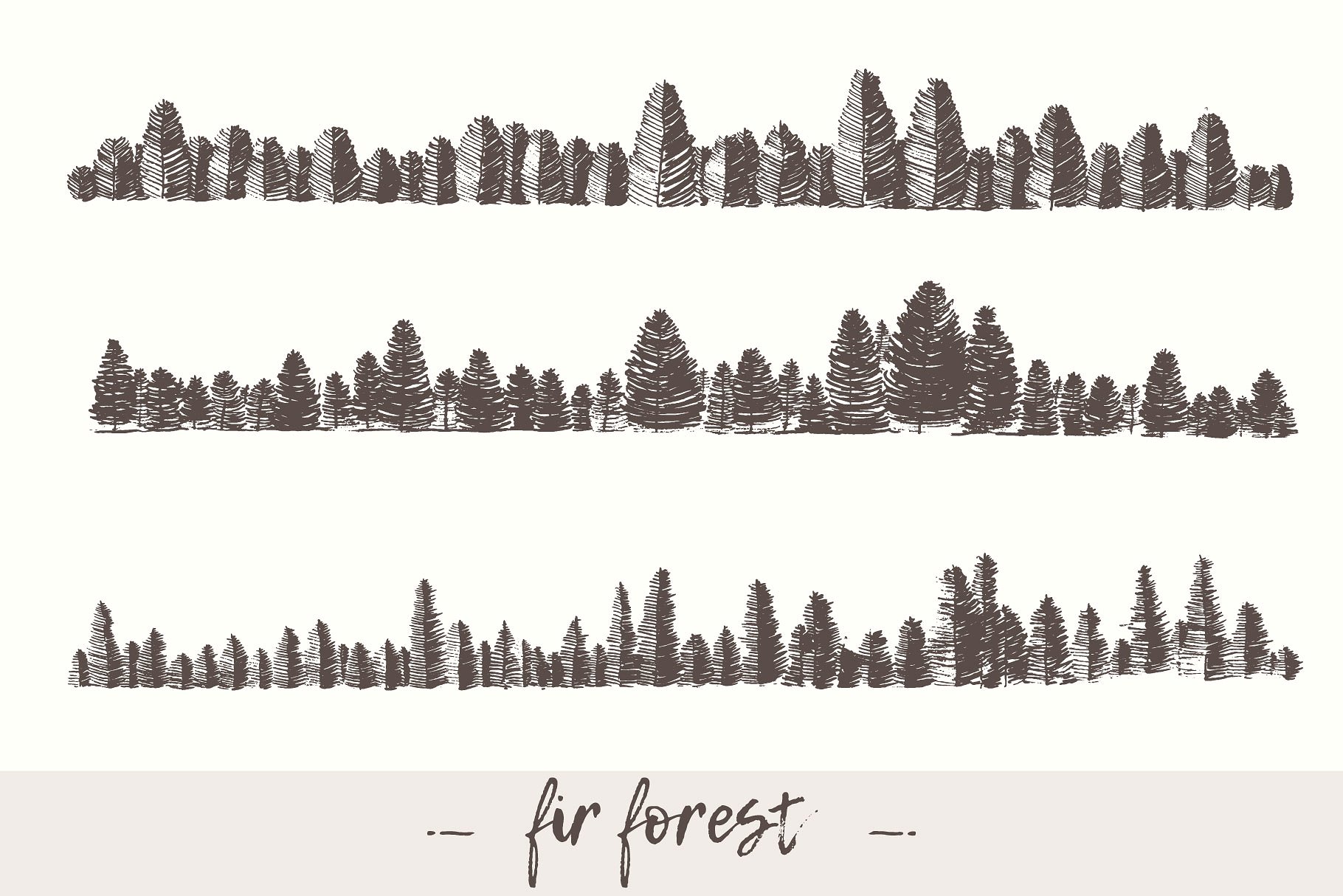 冷杉森林背景Fir forest backgrounds #