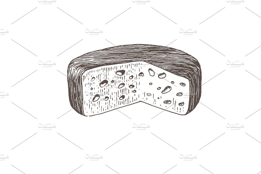 奶酪素描插画 Collection of cheese il