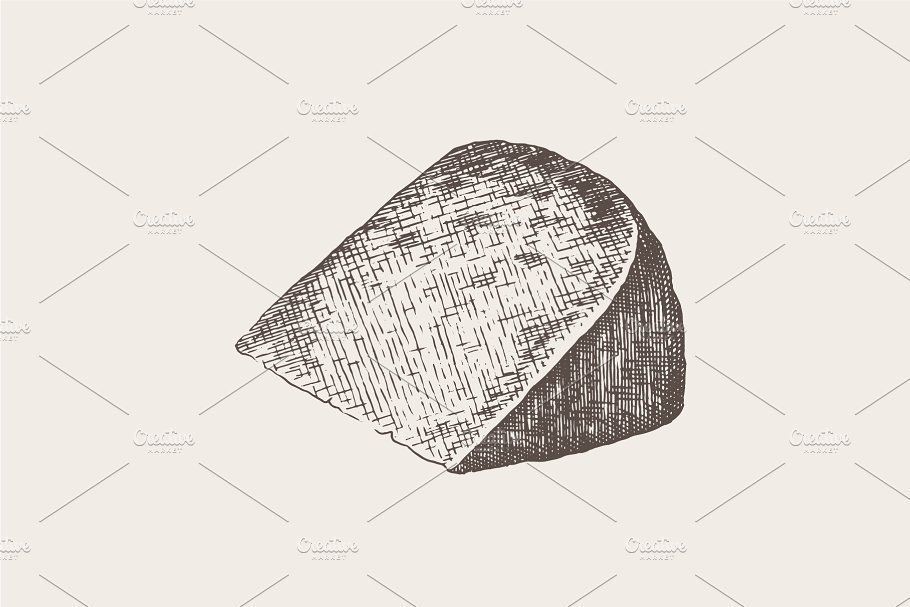 奶酪素描插画 Collection of cheese il