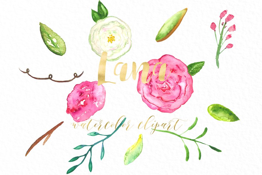 水彩玫瑰插画 Roses Lana watercolor f