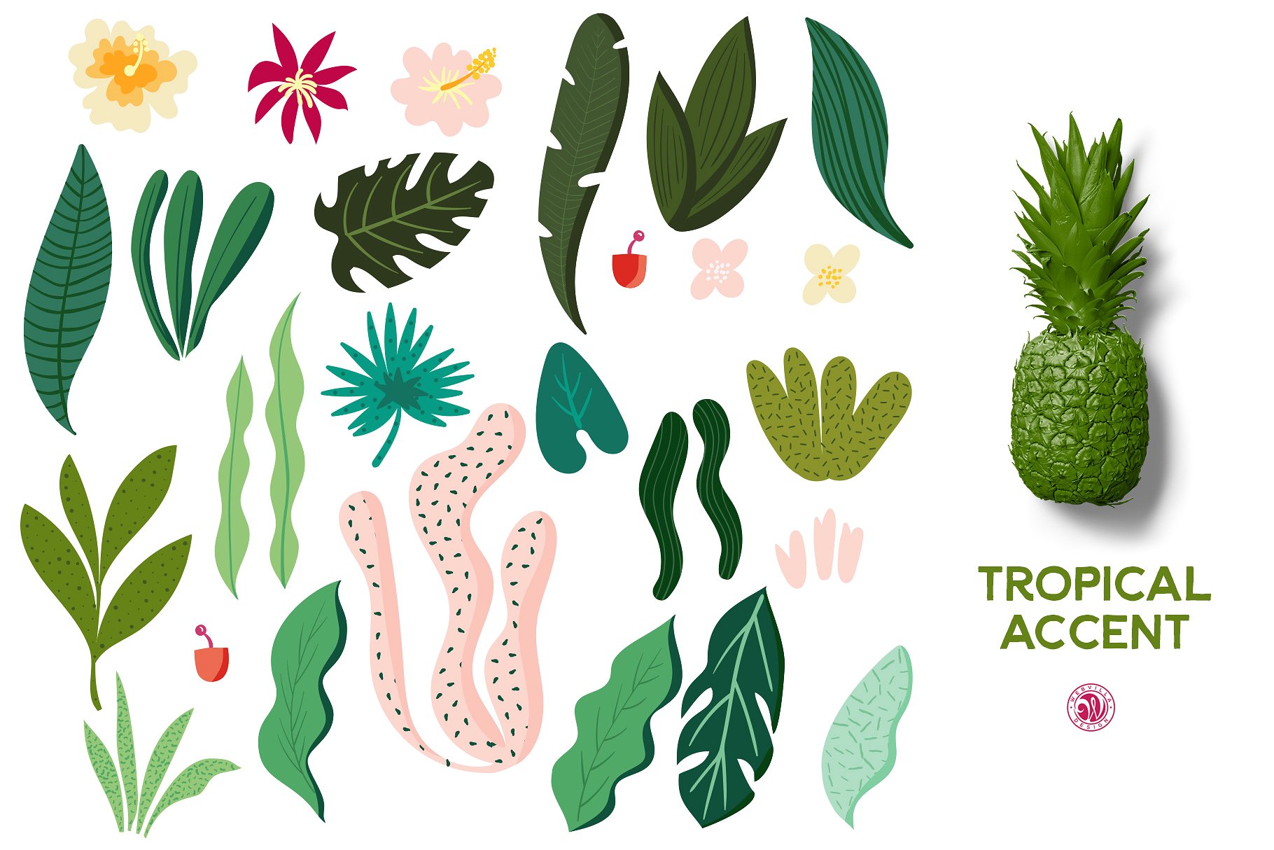 热带植物元素插画 Tropical Accent #1391