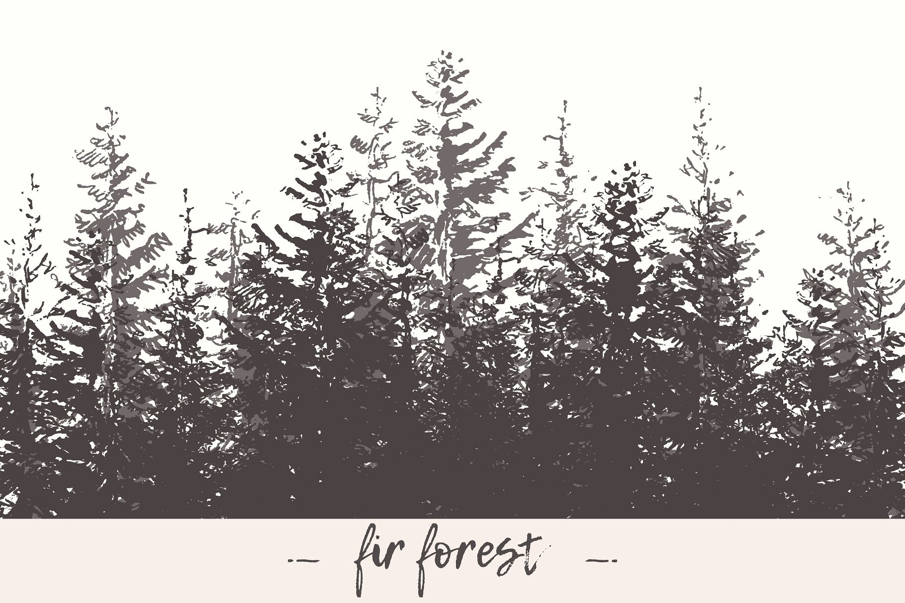 冷杉林的素描背景插画 Fir forest backgrou