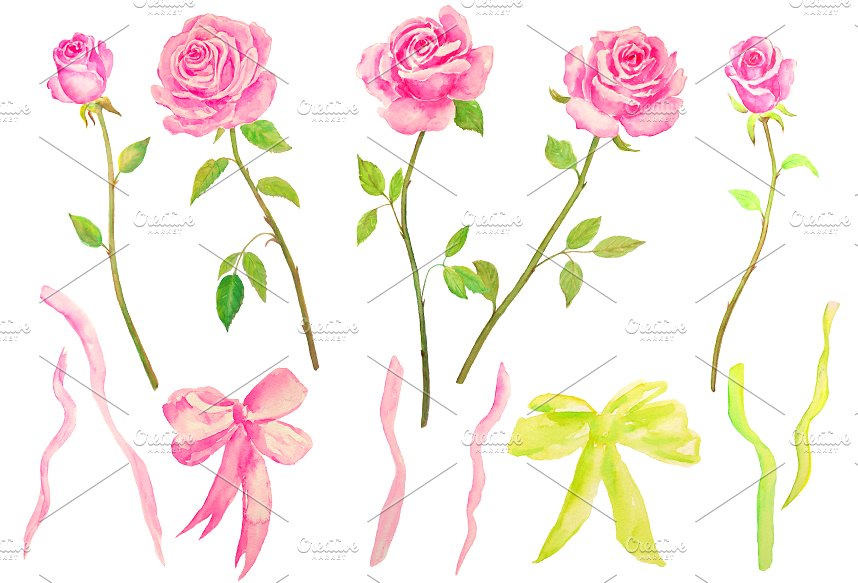 经典粉色花型玫瑰剪贴画 Watercolor Pink Ro
