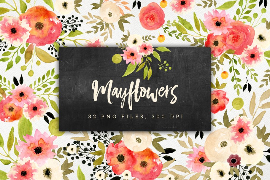 水彩花卉元素 Mayflowers #142746