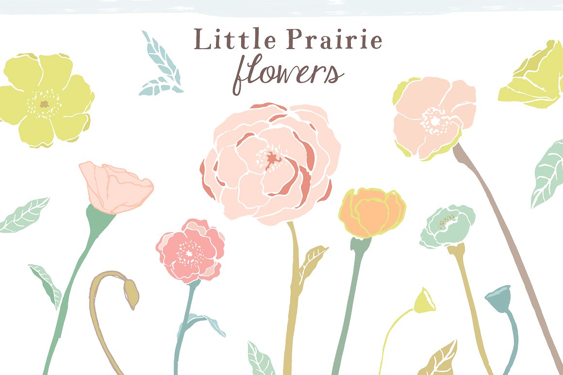 草原花卉剪贴画 Prairie Flowers Clip A