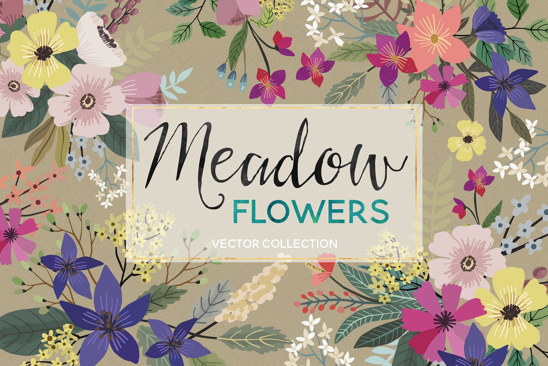 草地牧场矢量插画 Meadow Flowers Vector