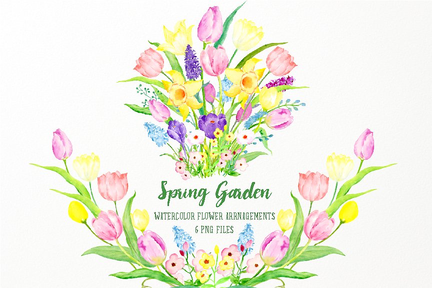 春季花园花卉素材插画 Spring Garden Flowe