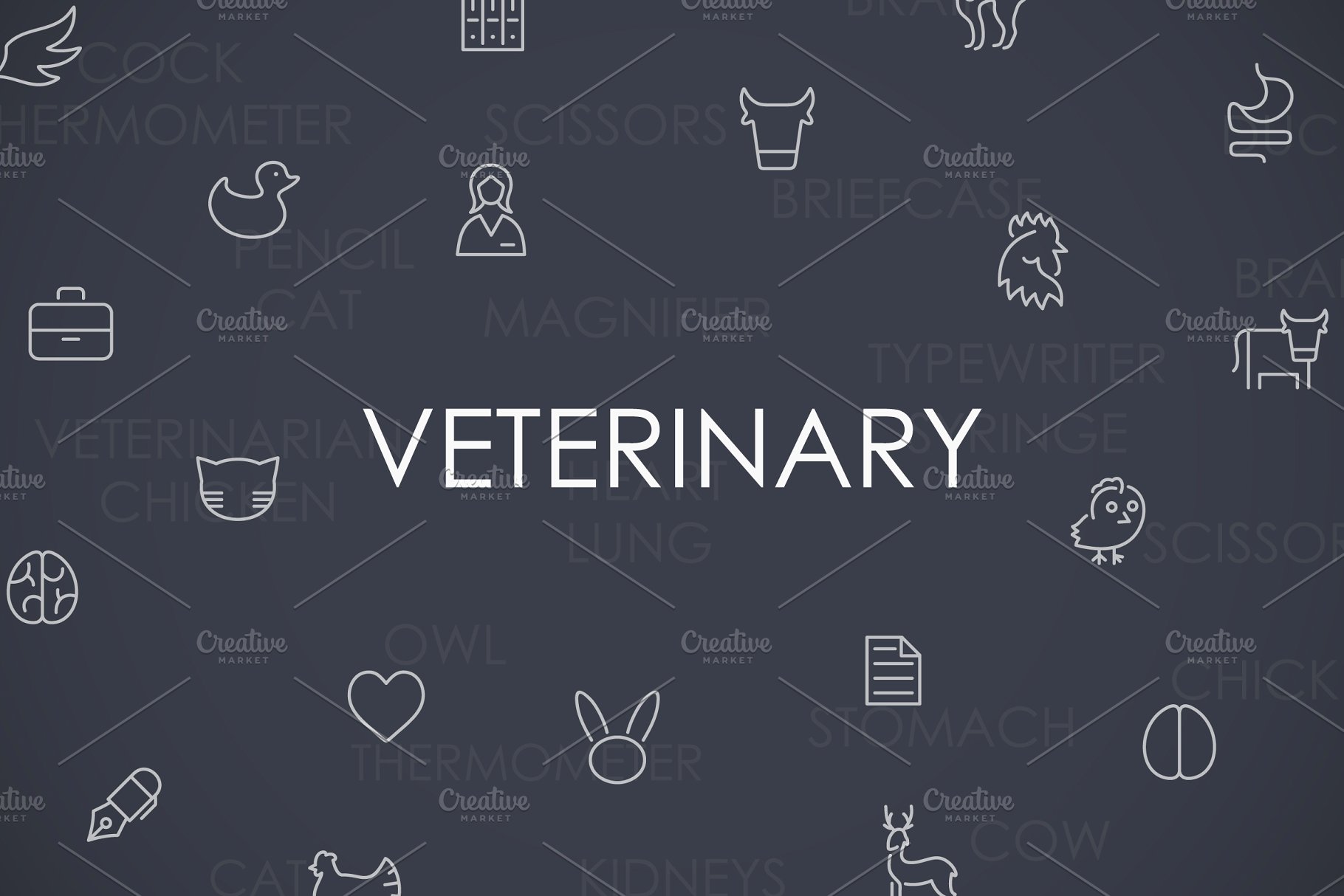 兽医矢量图标素材 Veterinary thinline i