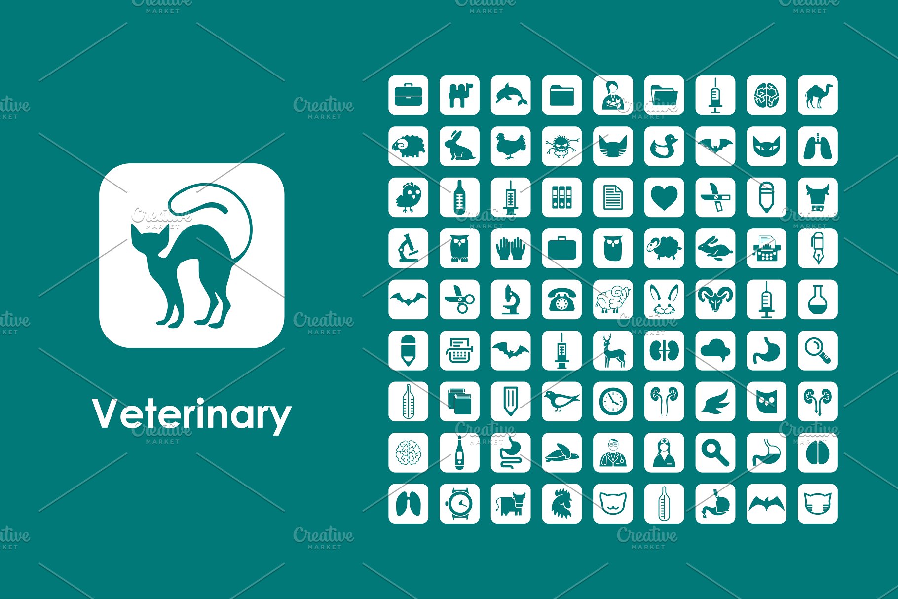 兽医元素图标下载 Veterinary icons #136