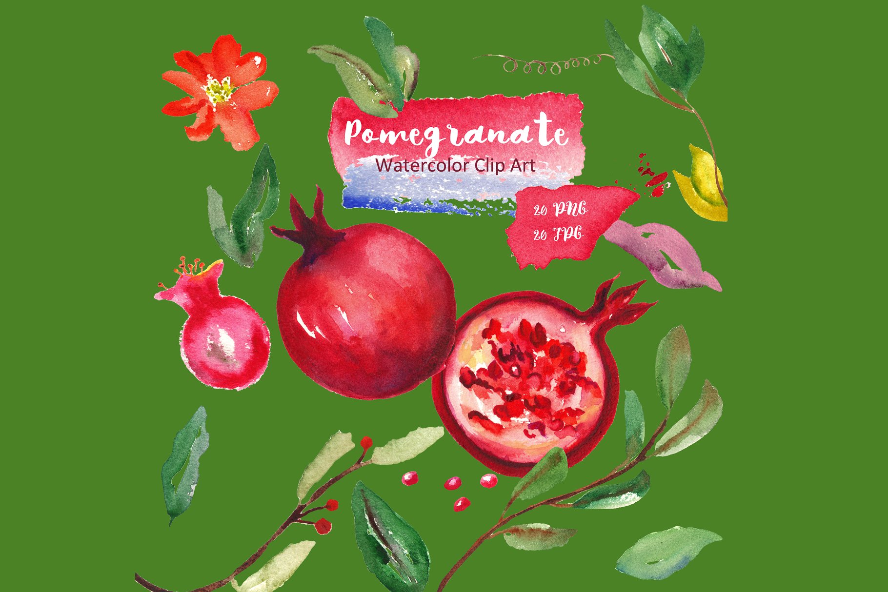 水彩石榴花卉插画 Pomegranate. Watercol
