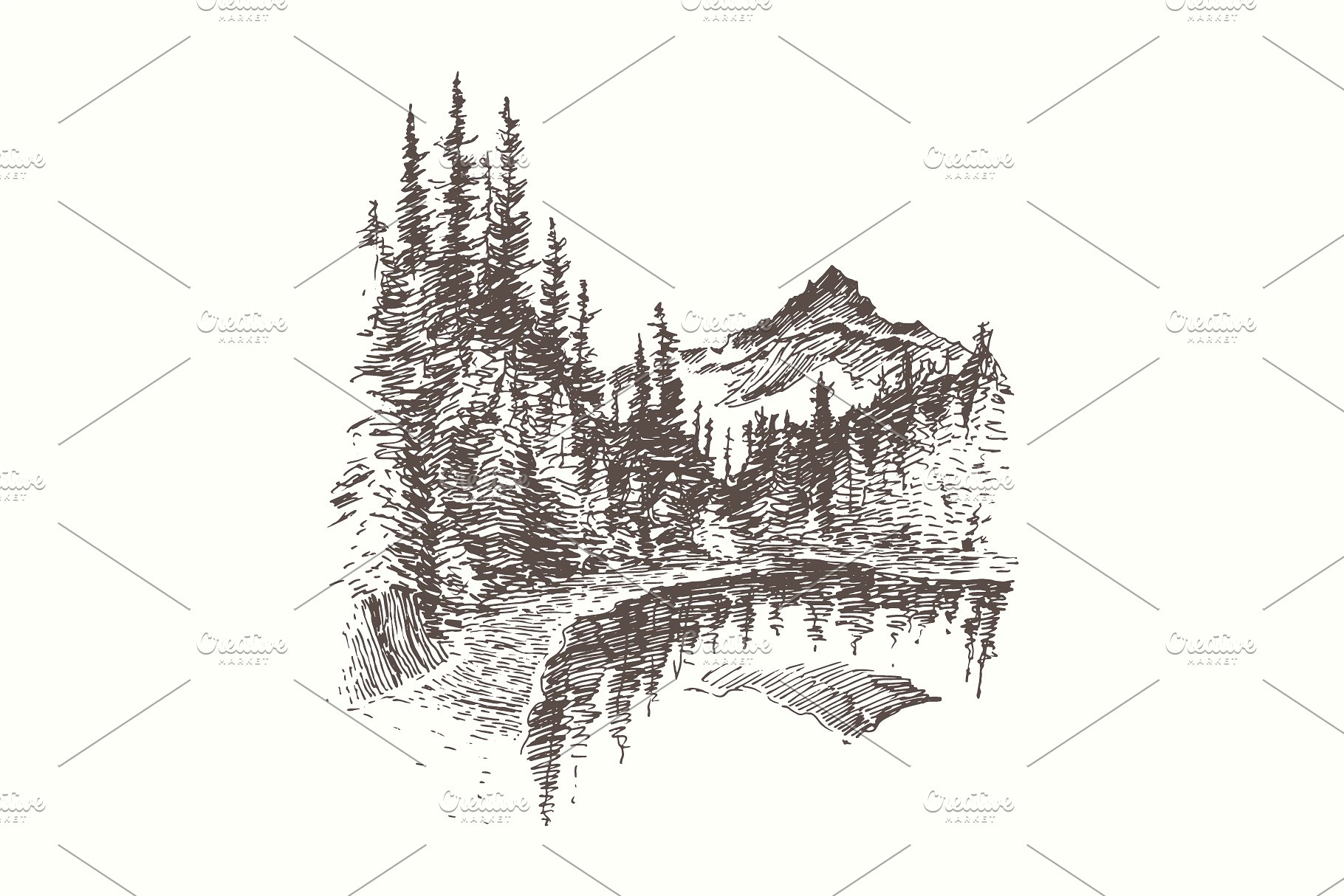 树林素描插画 Landscapes with fir for