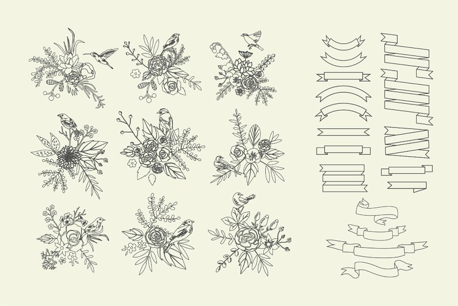 装饰花卉插画素材 Decorative Floral KIT