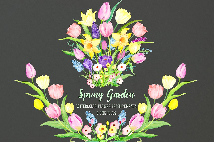 春季花园花卉素材插画 Spring Garden Flowe