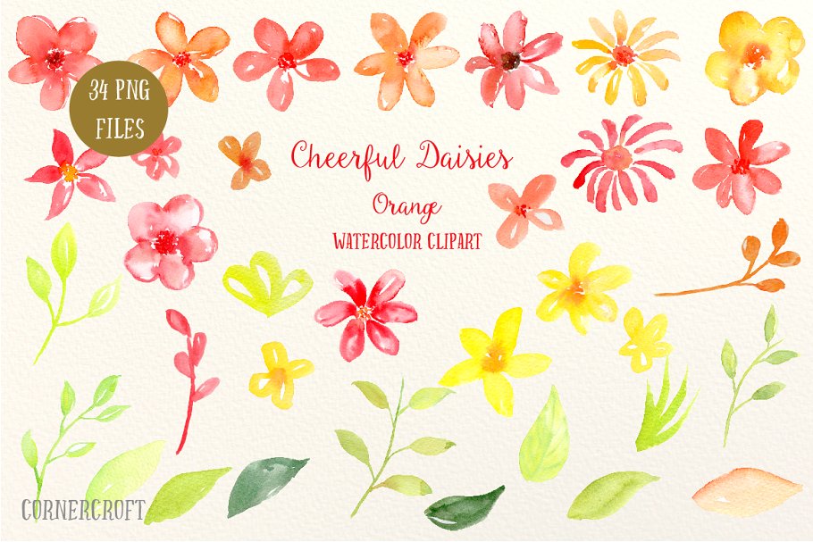 水彩雏菊插画素材 Watercolor Cheerful D