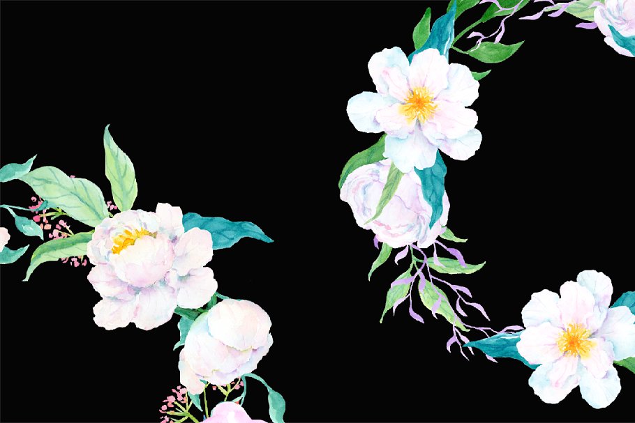 水彩白牡丹花圈 Watercolour White Peon