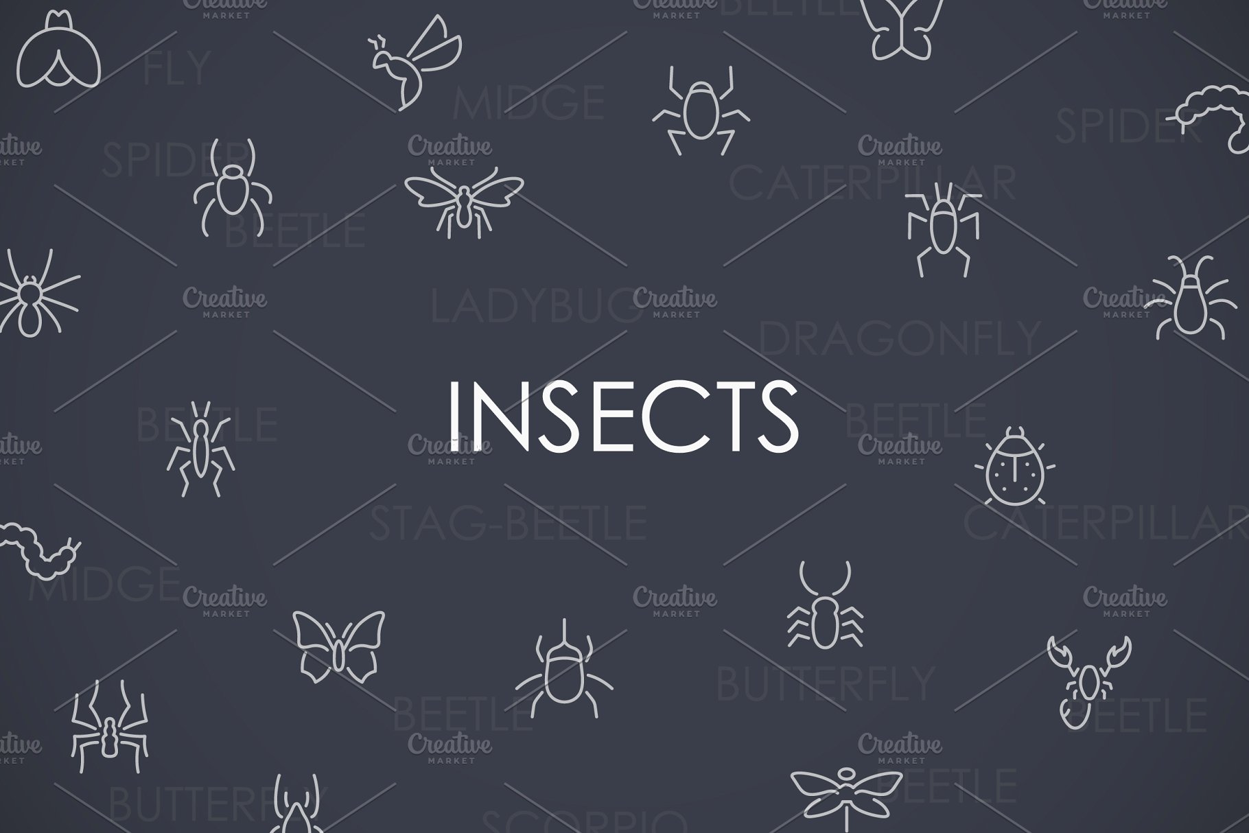 昆虫矢量图标大全 Insects thinline icon